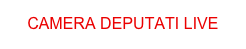 CAMERA DEPUTATI LIVE