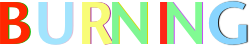 B       U        R     N         I N        G     